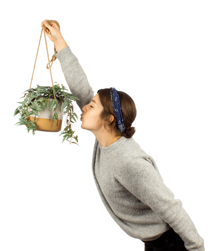 Plantenliefhebber