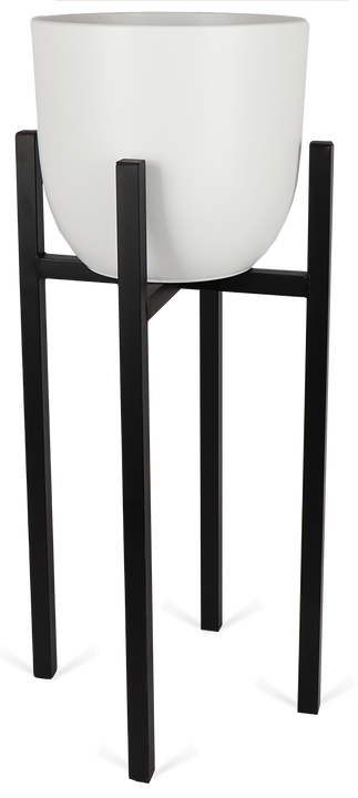 Ascot (37,5cm) Schwarz & Boule (31cm) Weiß