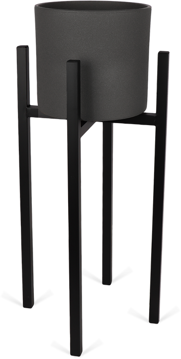 Ascot (34cm) Schwarz & Era (28cm) Anthrazit