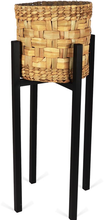 Ascot (34cm) Schwarz & Pitaya (28)
