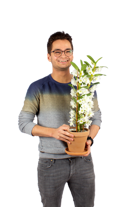 Plantenliefhebber