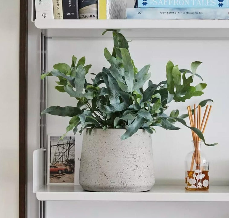 inspiratie