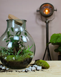 inspiratie-7