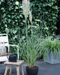 inspiratie-2