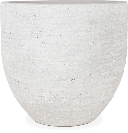 Cas (29cm)