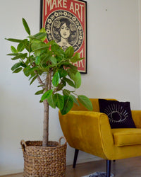inspiratie-3