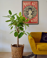 inspiratie-1