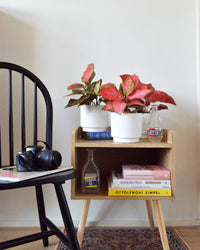 inspiratie-2