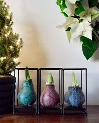 inspiratie-1