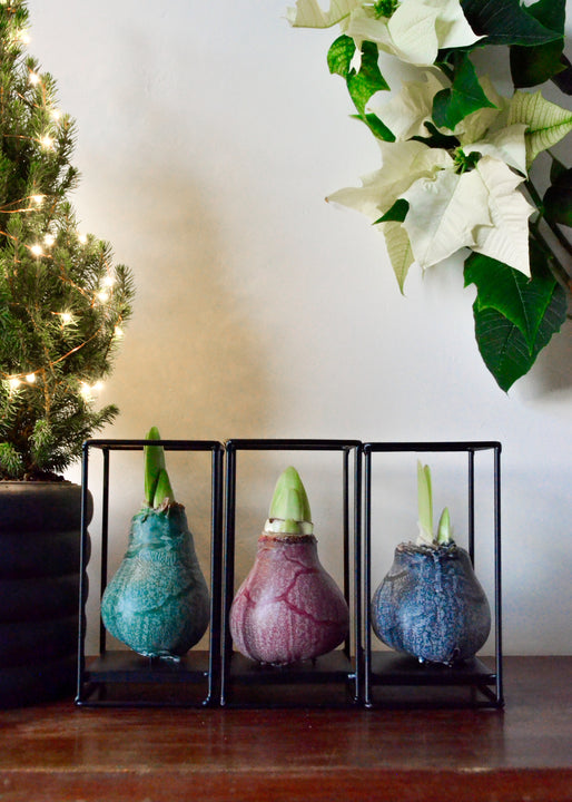 inspiratie