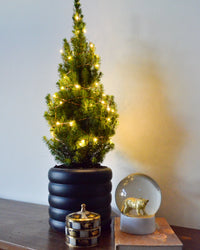 inspiratie-1