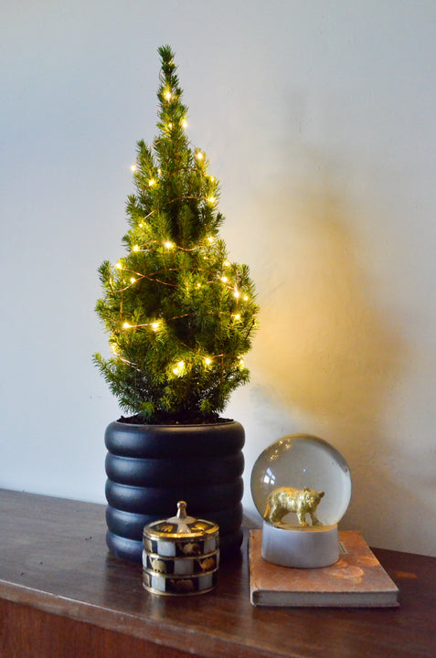 inspiratie
