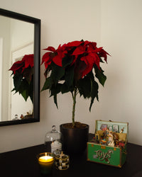 inspiratie-1