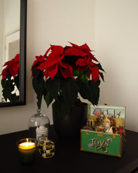 inspiratie-1