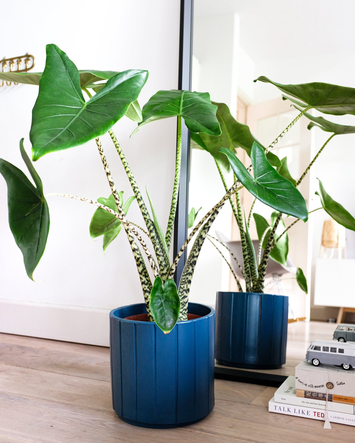 inspiratie