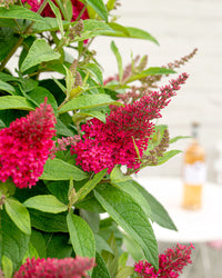 inspiratie-3