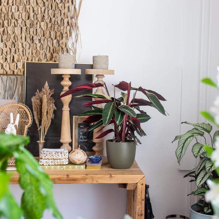 inspiratie