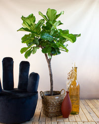 inspiratie-3