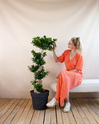 inspiratie-3