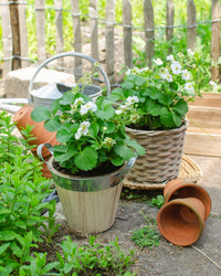 inspiratie-2
