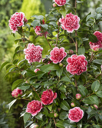 inspiratie-2