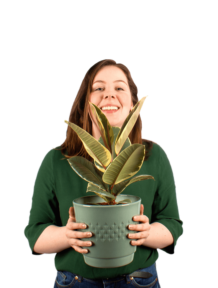 Plantenliefhebber