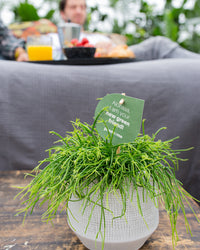 inspiratie-1