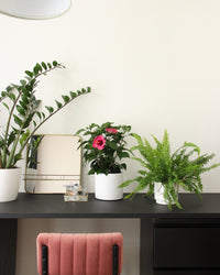 inspiratie-2