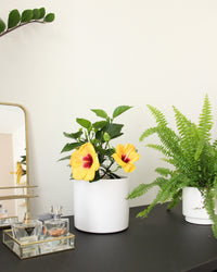 inspiratie-1