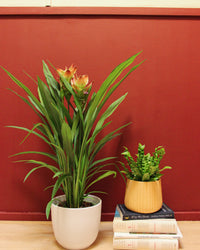 inspiratie-1