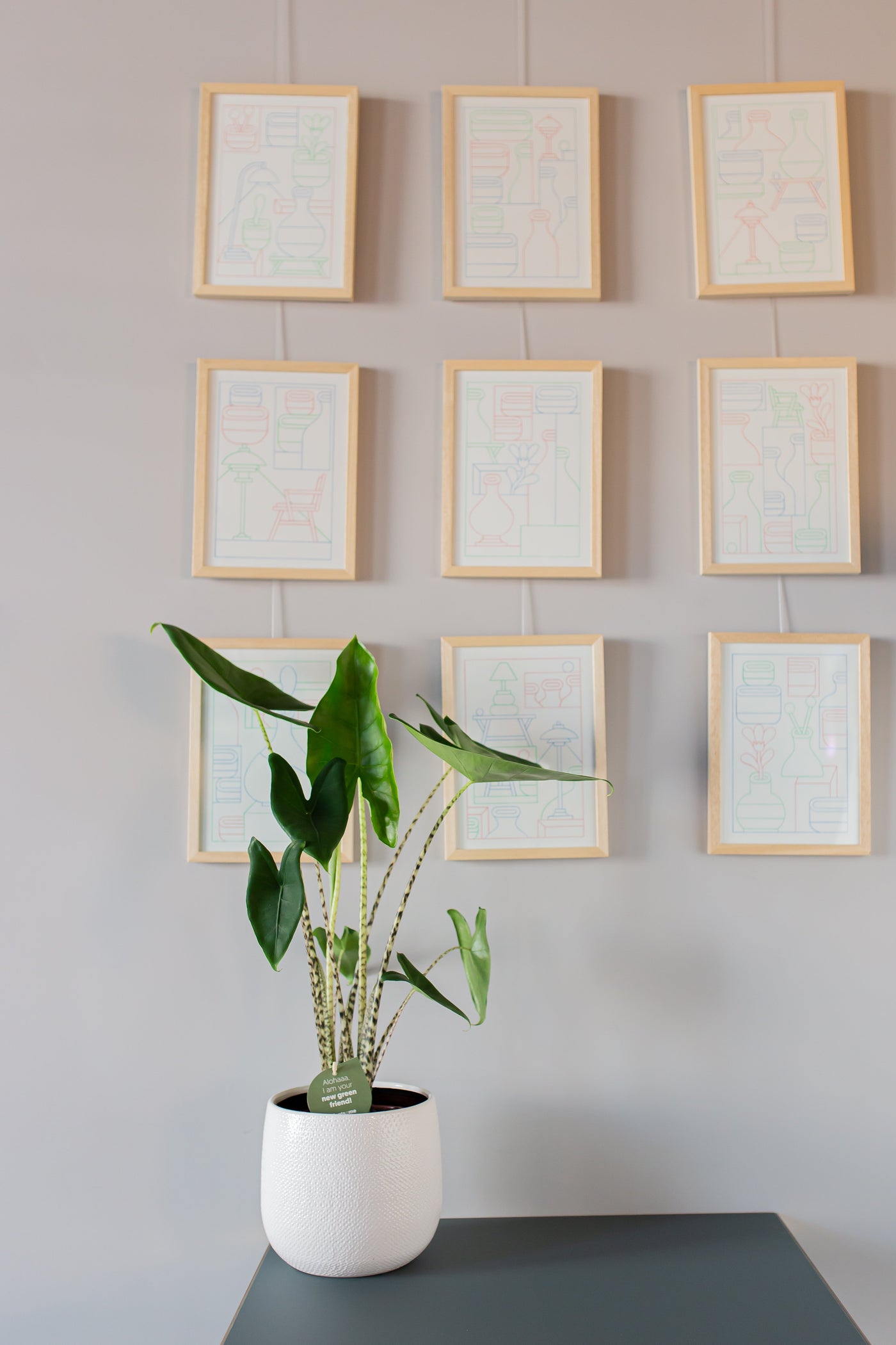 inspiratie