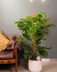inspiratie-4