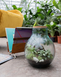 inspiratie-8