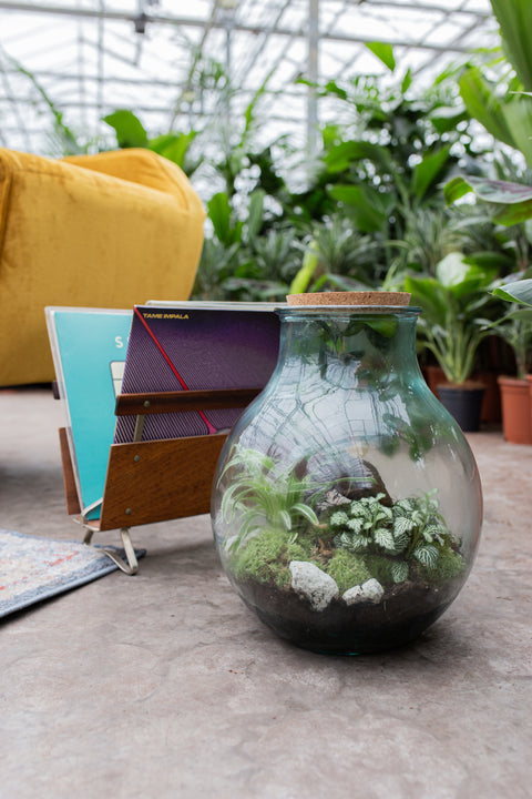 inspiratie