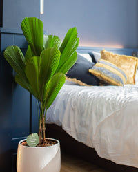 inspiratie-1