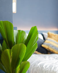 inspiratie-3