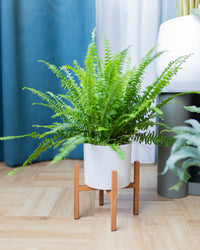 inspiratie-2