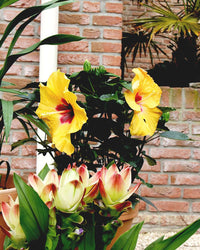 inspiratie-3