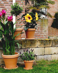 inspiratie-4
