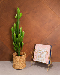inspiratie-1