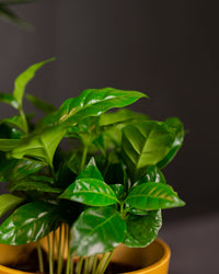 inspiratie-6