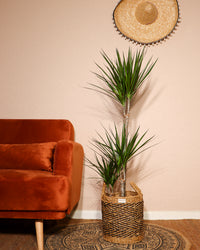 inspiratie-1