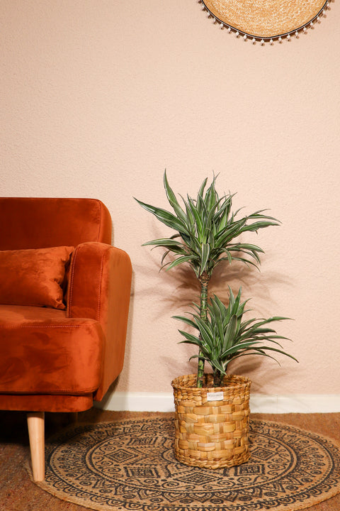 inspiratie