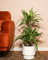 inspiratie-1