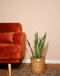 inspiratie-2