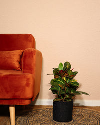 inspiratie-2