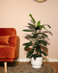 inspiratie-1