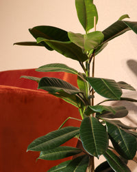 inspiratie-2