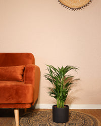 inspiratie-1