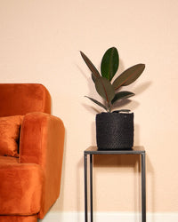 inspiratie-2